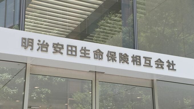 「2人目の子どもを望む」男女が約3割　明治安田生命の調査で過去最低に　年齢や金銭面での悩みが理由|TBS NEWS DIG