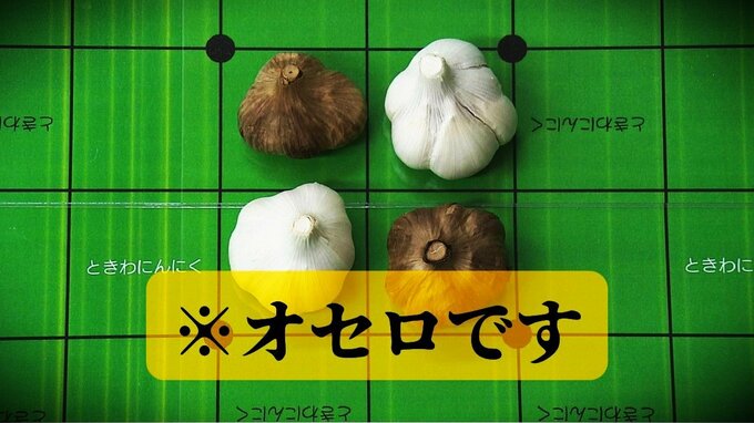 「オセロとニンニクは良い相性なのかな」持ちやすくて置きやすい？たぶん世界初？手袋必須の「にんにくオセロ」とは？　|　青森のニュース│ATV NEWS│青森テレビ
