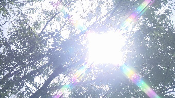 きょうも暑い！きのう全国初「猛暑日」となった伊達市梁川、午前中から「真夏日」に…福島|TBS NEWS DIG