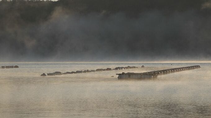 放射冷却の空気と暖かい海水で生まれる幻想的な「気嵐」 石川県内は各地で今シーズンの最も低い気温に　|　石川県のニュース｜MRO北陸放送