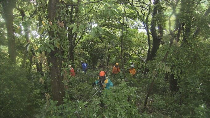 国指定の防風保安林を整備…農作物被害軽減へ伐採　富山・大沢野国有林|TBS NEWS DIG