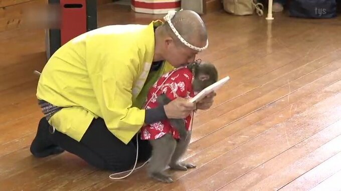 満員御礼　伝統芸能猿まわし　周防猿回しの会が発祥の地で７年ぶり公演　４５周年の記念に　山口県光市|TBS NEWS DIG