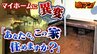 「あなたならこの家に住みますか？」新築マイホームが『床下に水たまり』『壁一面にシミ』『全体がカビ臭い』怒る家主に...業者Ｘは「責任ない」と主張|TBS NEWS DIG