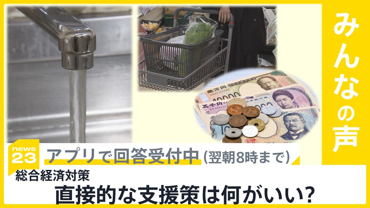 総合経済対策 食料品支援は原則すべての自治体が取り組みへ 直接的な支援策は何がいい？【news23】 | TBS NEWS DIG