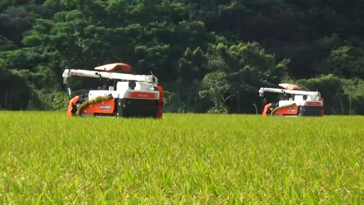 新米の買取価格が去年より約2割下落か　在庫高水準でだぶつく状況が要因のひとつ　コメ店「大規模だと億単位で赤字が出る」