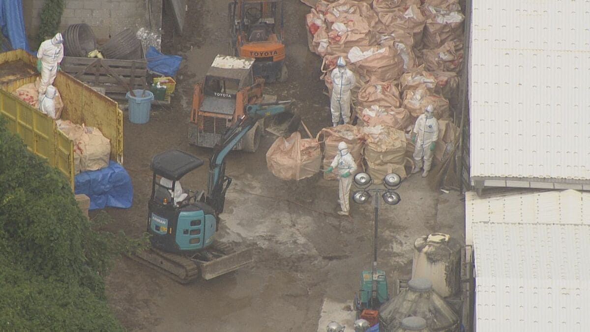 img_5892ee14c3686b715eb0f2e9ef