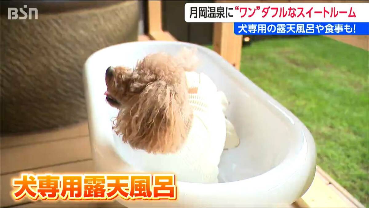 サムネイル_月岡温泉に“ワン”ダフルなスイートルーム 犬専用の露天ぶろや食事も「片時も離れることなく愛犬との旅行を」新潟・新発田市
