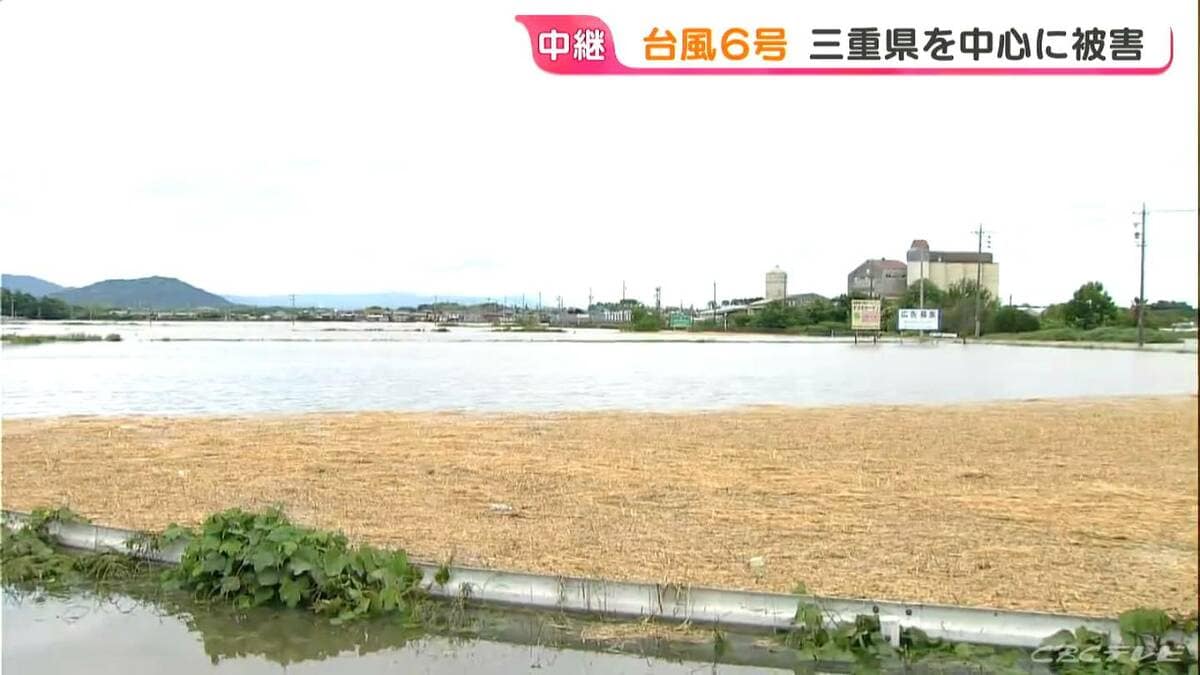 収穫間近の小麦 台風6号の影響で田んぼが“湖”のように…｢今年はちょっと厳しい｣ 三重県を中心に被害 