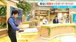 違いを再確認!モペットは「一般原付」なので要免許でヘルメットも義務 歩道も走れません 電動キックボードは時速6キロ以下なら歩道走行可 | 名古屋・愛知・岐阜・三重のニュース【CBC news】 | CBC web