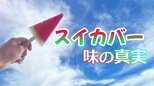 「絶対〇〇〇味!」“スイカバー”を“スイカ味”と感じない人続出?!背景に味覚をめぐる脳の不思議な世界|TBS NEWS DIG