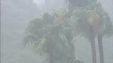 【大雨】大阪・兵庫・和歌山・徳島で線状降水帯発生のおそれ　近畿中部は夕方にかけて土砂災害に厳重警戒|TBS NEWS DIG