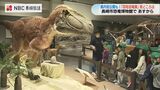 恐竜が空に進出した秘密も分かる？『羽毛恐竜展』23日から長崎市恐竜博物館で開催　|　長崎のニュース | 天気 | NBC長崎放送