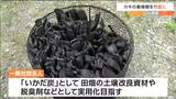 脱臭剤や土壌改良資材として活用″竹炭”実は「カキ養殖」で使用したものを再利用″いったいナニ？”宮城・東松島市　|　宮城のニュース│tbc NEWS│tbc東北放送