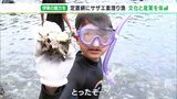 「海が近くていいところ」「たくさんの魚がいてきれいな海」子どもたちが漁業体験で地元の魅力を再確認＝静岡・伊東市|TBS NEWS DIG