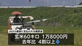 串間市で早場米の稲刈りシーズン　今年は価格下落も…　|　MRTニュース ｜ ＭＲＴ宮崎放送