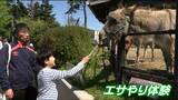 ゴールデンウイーク後半スタート 八木山動物公園、家族連れらでにぎわう 5日こどもの日は中学生以下入園無料 | 宮城のニュース│tbc NEWS│tbc東北放送