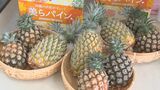 県産パインの旬入りを宣言 石垣市 | 沖縄のニュース|RBC 琉球放送