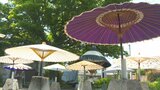 和傘の天日干し 梅雨入り前の貴重な日差しを利用 大分・中津市 | 大分のニュース|OBS NEWS|大分放送