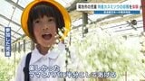 「ママとパパにあげる」 日本一の「カスミソウ」で花束作り 小学1年生が体験 熊本県菊池市 |TBS NEWS DIG