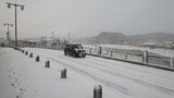 大分県内各地で雪　大分市では10年ぶりに積雪を観測　交通機関に乱れも|TBS NEWS DIG