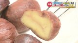 経営危機から一転『栗』が村の一大産業へ 口当たり抜群で甘味が広がる人気の『渋皮煮』 全国から注文殺到のワケは「抑えた甘さ」 | 熊本のニュース|RKK NEWS|RKK熊本放送