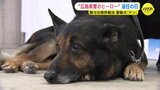 “広島県警のヒーロー”　ドンが退任　窃盗犯や行方不明者の確保に貢献　「お疲れさま」新しい家族のもとへ　|　RCC NEWS | 広島ニュース | RCC中国放送