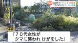 庭で作業中にクマ…70代女性が顔面に重傷 住宅街で日中の衝撃 クマの出没、去年同月に比べ8倍 富山・立山町 | 富山のニュース|天気・防災|チューリップテレビ