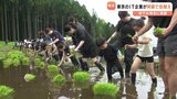 地下水保全に貢献 東京のIT企業が阿蘇で田植え|TBS NEWS DIG