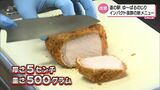 厚さ5cmのカツ丼!? リニューアルした「道の駅ゆ~ぱるのじり」に新登場 | MRTニュース | MRT宮崎放送