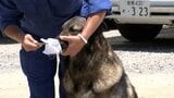 警察犬「チャンス君」が技術を披露 高校で生徒たちに訓練を公開「人間と動物との信頼関係を築いていきたい」【岡山】　|　岡山・香川のニュース | 天気 | RSK山陽放送
