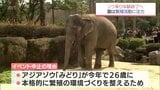 「下の子にチャンスがないのがさみしい」惜しまれつつ終了宮崎市フェニックス自然動物園のゾウ乗り体験 　繁殖への環境づくり　|　MRTニュース ｜ ＭＲＴ宮崎放送