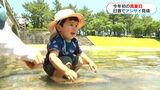 肌寒さ→水遊びできる暑さに…鹿児島市で初の真夏日　アジサイも色鮮やかに|TBS NEWS DIG