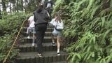 南海トラフ巨大地震 10メートル超の津波から「避難訓練」標高40メートルの高台へ“逃げる”ルート確認 三重・紀北町 | 名古屋・愛知・岐阜・三重のニュース【CBC news】 | CBC web