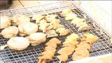 「おいしいものがいっぱい地元民としてうれしい」復興願う 恒例の春のまつり 宮城・女川町 | 宮城のニュース│tbc NEWS│tbc東北放送
