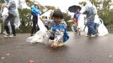 大手自動車メーカーによる清掃活動に大学生など約90人が参加 地域の自然環境守る取り組みとして47都道府県で実施 盛岡市|TBS NEWS DIG
