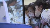 “世界の昆虫”1万5000点が集結 光輝く「プラチナコガネ」も~福岡|TBS NEWS DIG