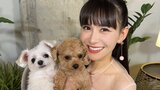 【あ～ちゃん】愛犬2頭とハッピー写真「14日バレンタイン、15日誕生日」「おかやんこの日に産んでくれてありがとう」【Perfume】|TBS NEWS DIG