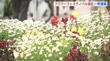 いよいよフラワーフェスティバル！ 開催を前に平和大通りなど一斉清掃　５月の連休にフル開催は５年ぶり　|　RCC NEWS | 広島ニュース | RCC中国放送