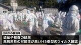 鳥インフルエンザ　日向市の養鶏場の約4万8000羽の殺処分終わる|TBS NEWS DIG