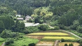 石川・白山市の“飲用制限”解除 県内「孤立集落」は解消…60代女性搬送も命に別状なし|TBS NEWS DIG