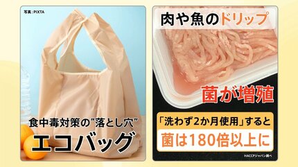 ○○の箱」が菌の温床に？家の意外な場所に潜む食中毒の危険性【Nスタ