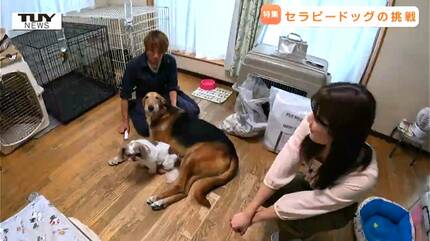 特集】セラピードッグが促す心の成長 教育現場でも効果が期待される