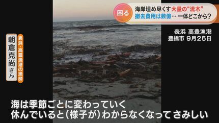 出所不明の流木に埋め尽くされた海岸、漁師やサーファーに被害も膨大な