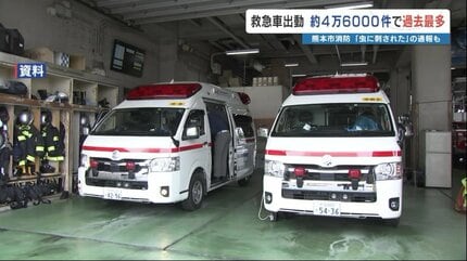 虫に刺された」で119番・・・救急車の出動、入院必要なしが3割 議員