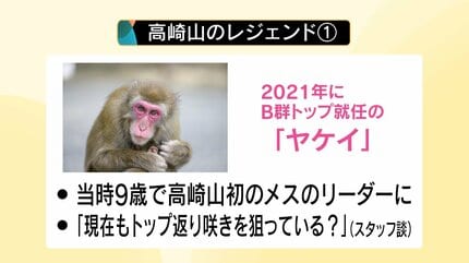 さる ご検討分 検討させていただきます」は正しい敬語？意味とビジネスシーンでの