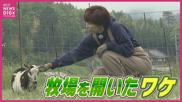 ヤギのふれあいで地域の “つながり”「愛着をもってほしい」 西日本豪雨から再起した飼い主の思い　|　RCC NEWS | 広島ニュース | RCC中国放送
