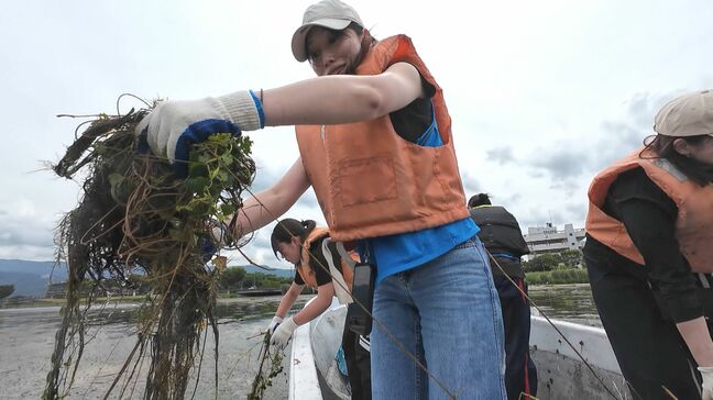 「大変だったけど、貢献できてうれしい」　諏訪湖で「ヒシ」を取り除く活動　約１５０人が参加　トヨタソーシャルボランティア|TBS NEWS DIG