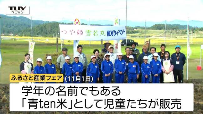 「お米を大切に食べる」収穫の秋　児童が自分たちで育てた稲を刈り取り（山形・村山市）|TBS NEWS DIG