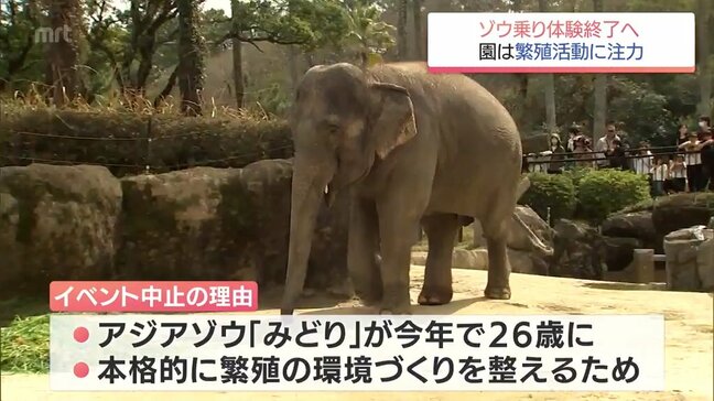 「下の子にチャンスがないのがさみしい」惜しまれつつ終了宮崎市フェニックス自然動物園のゾウ乗り体験 繁殖への環境づくり|TBS NEWS DIG