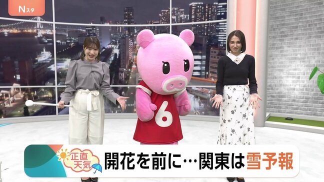 【3月10日 関東の天気】開花を前に…関東は雪予報|TBS NEWS DIG